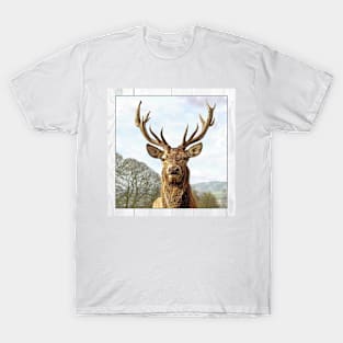 Stag T-Shirt